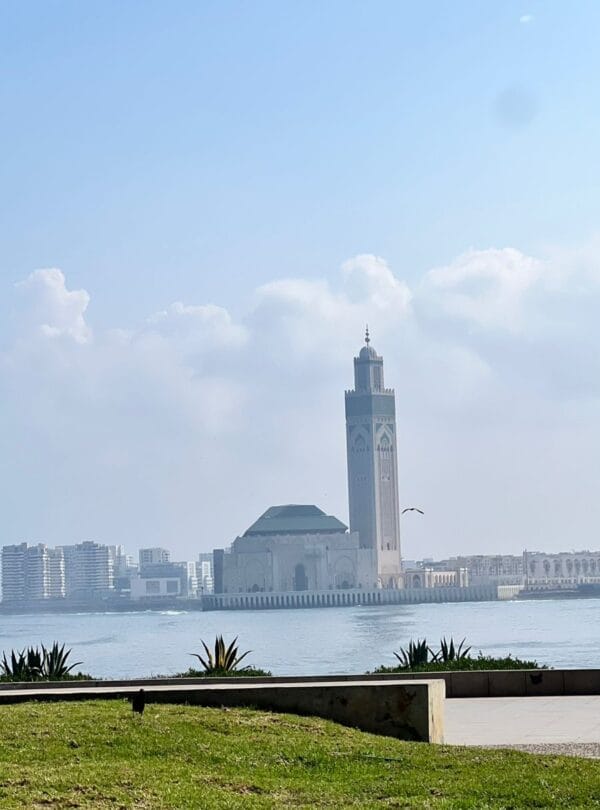 13-Day Imperial Cities & Desert Tour from Casablanca